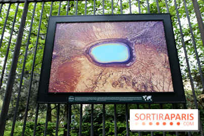 Fragilités & Résiliences, nos photos de l'expo dévoilée sur les grilles du Jardin du Luxembourg