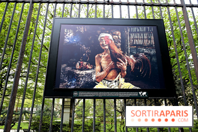 Fragilités & Résiliences, nos photos de l'expo dévoilée sur les grilles du Jardin du Luxembourg