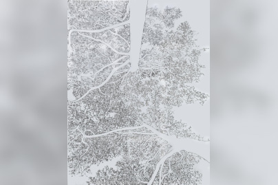 Souffle de fer - WhatsApp Image 2026 03 27 at 19.02.05 — копия