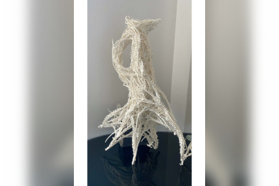 Souffle de fer - Dasha1