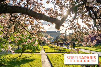 Les floraisons exceptionnelles du Jardin des Plantes 2026 : tulipes, coquelicots et cerisiers - photos - A7C00582