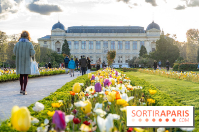 Les floraisons exceptionnelles du Jardin des Plantes 2026 : tulipes, coquelicots et cerisiers - photos