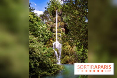 Le Parc de Bagatelle au printemps, cerisier, tulipes et jonquilles - photos - A7C00050 HDR
