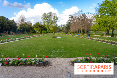 Le Parc de Bagatelle au printemps, cerisier, tulipes et jonquilles - photos