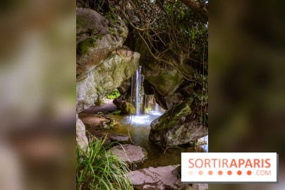 Le Parc de Bagatelle au printemps, cerisier, tulipes et jonquilles - photos - A7C00672