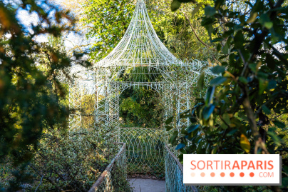 Le Parc de Bagatelle au printemps, cerisier, tulipes et jonquilles - photos - A7C00795