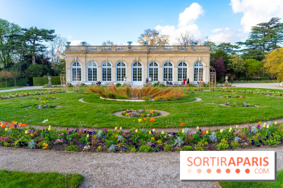 Le Parc de Bagatelle au printemps, cerisier, tulipes et jonquilles - photos