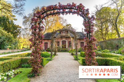 Le Parc de Bagatelle au printemps, cerisier, tulipes et jonquilles - photos - A7C00854