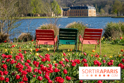 Les tulipes du Château de Dampierre, son jardin anglais et le jardin Le Nôtre