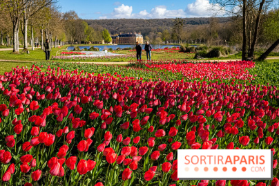 Les tulipes du Château de Dampierre, son jardin anglais et le jardin Le Nôtre