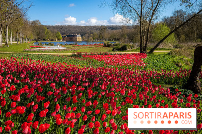 Les tulipes du Château de Dampierre, son jardin anglais et le jardin Le Nôtre