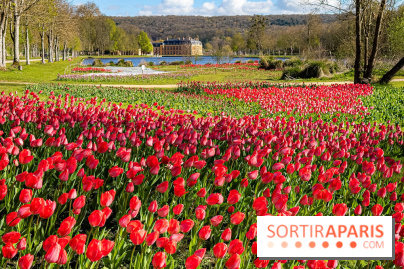 Les tulipes du Château de Dampierre, son jardin anglais et le jardin Le Nôtre