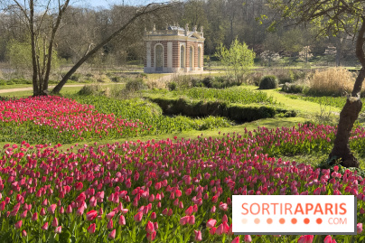 Les tulipes du Château de Dampierre, son jardin anglais et le jardin Le Nôtre