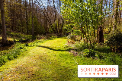Les tulipes du Château de Dampierre, son jardin anglais et le jardin Le Nôtre - IMG 2932