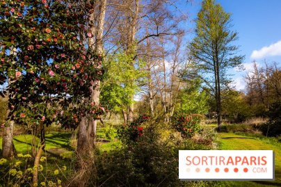 Les tulipes du Château de Dampierre, son jardin anglais et le jardin Le Nôtre - IMG 2937