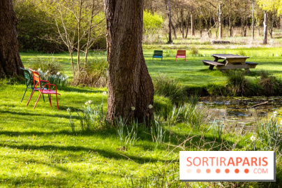 Les tulipes du Château de Dampierre, son jardin anglais et le jardin Le Nôtre - IMG 2938