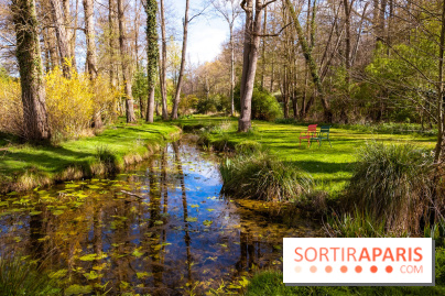 Les tulipes du Château de Dampierre, son jardin anglais et le jardin Le Nôtre - IMG 2947