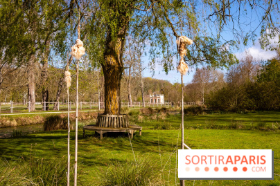 Les tulipes du Château de Dampierre, son jardin anglais et le jardin Le Nôtre - IMG 2950