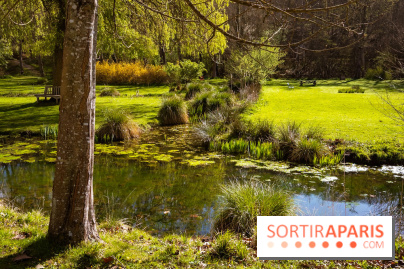 Les tulipes du Château de Dampierre, son jardin anglais et le jardin Le Nôtre - IMG 2953