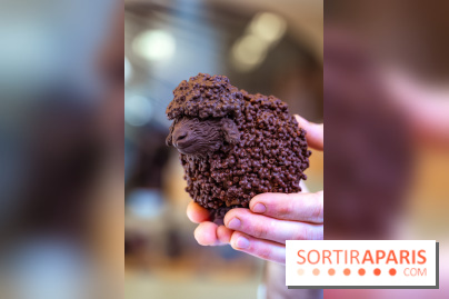 Pâques 2026, les chocolats artisanaux de Willliam Artigue à Paris - A7C09846 Edit