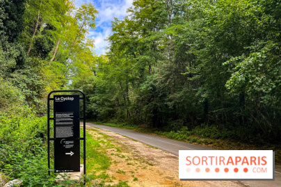 Le Cyclop, le géant d’acier caché dans les bois de Milly-la-Forêt - IMG 5815