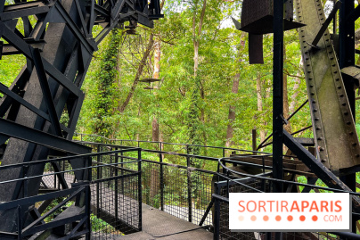 Le Cyclop, le géant d’acier caché dans les bois de Milly-la-Forêt - IMG 5951