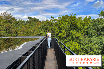 Le Cyclop, le géant d’acier caché dans les bois de Milly-la-Forêt - IMG 6068