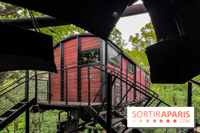 Le Cyclop, le géant d’acier caché dans les bois de Milly-la-Forêt - IMG 6083