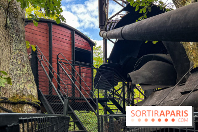 Le Cyclop, le géant d’acier caché dans les bois de Milly-la-Forêt - IMG 6100