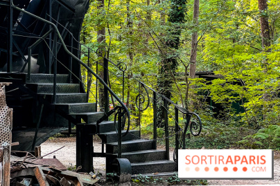 Le Cyclop, le géant d’acier caché dans les bois de Milly-la-Forêt - IMG 6208