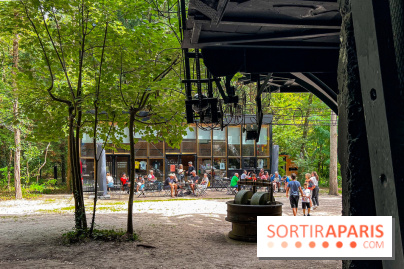 Le Cyclop, le géant d’acier caché dans les bois de Milly-la-Forêt - IMG 6222