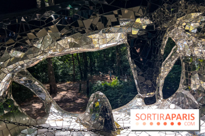 Le Cyclop, le géant d’acier caché dans les bois de Milly-la-Forêt - IMG 5940