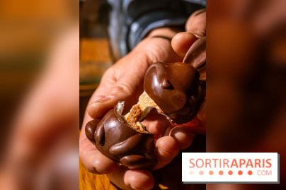 Les chocolats de Pâques 2026 de la chocolaterie-pâtisserie Jardin Sucré - photos