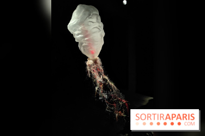 Les Extatiques souterrains : un parcours artistique introspectif sous la Grande arche de La Défense - fotor 1775122156649