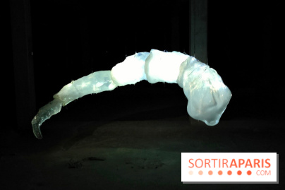 Les Extatiques souterrains : un parcours artistique introspectif sous la Grande arche de La Défense - fotor 1775122179671