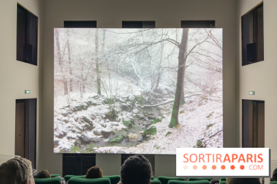 Expositions Diego Marcon et Ladji Diaby à Lafayette Anticipations - IMG 5552