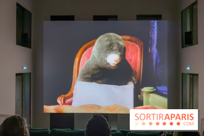 Expositions Diego Marcon et Ladji Diaby à Lafayette Anticipations - IMG 5562