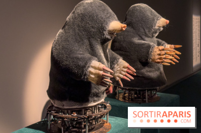 Expositions Diego Marcon et Ladji Diaby à Lafayette Anticipations - IMG 5567