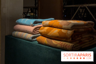 Expositions Diego Marcon et Ladji Diaby à Lafayette Anticipations - IMG 5578