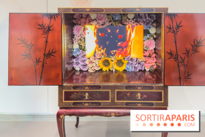 Expositions Diego Marcon et Ladji Diaby à Lafayette Anticipations - IMG 5628