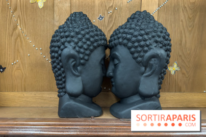 Expositions Diego Marcon et Ladji Diaby à Lafayette Anticipations - IMG 5644