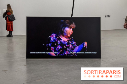 Au Palais de Tokyo, Cheryl Marie Wade explore la culture crip et la poésie engagée - IMG 5954