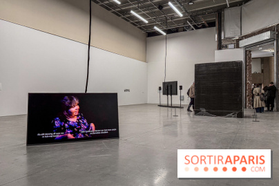 Au Palais de Tokyo, Cheryl Marie Wade explore la culture crip et la poésie engagée - IMG 5955