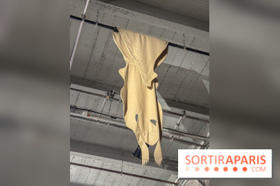 Pauline Curnier Jardin au Palais de Tokyo : l'exposition autour des mythes et des corps - IMG 5987