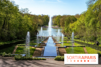 Hanami au Parc de Sceaux 2026, les cerisiers en fleurs et ses  animations - A7C01691