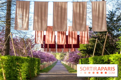 Hanami au Parc de Sceaux 2026, les cerisiers en fleurs et ses  animations - A7C01486