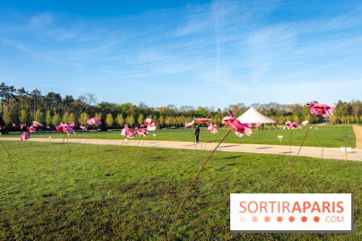 Hanami au Parc de Sceaux 2026, les cerisiers en fleurs et ses  animations - A7C01362