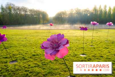 Hanami au Parc de Sceaux 2026, les cerisiers en fleurs et ses  animations