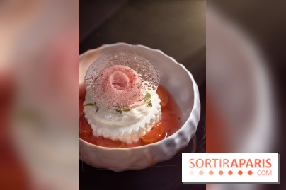 Rivages restaurent de la mer du Scribe Opéra Paris 9e, les photos - rhubarbe