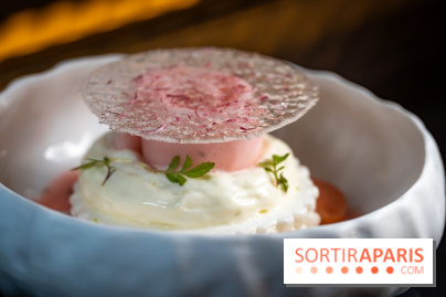 Rivages restaurent de la mer du Scribe Opéra Paris 9e, les photos - rhubarbe